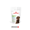 Royal Canin Bağışıklığı ve Sindirim Sistemini Destekleyen Tamamlayıcı Yavru Köpek Ödül Maması 100gr