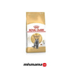 Royal Canin British Shorthair Yetişkin Kedi Maması 10kg