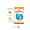 Royal Canin French Bulldog Junior Yavru Köpek Maması 3kg