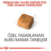 Royal Canin Kitten İran Kedileri İçin Yavru Kedi Maması 2kg