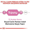 Royal Canin Kitten İran Kedileri İçin Yavru Kedi Maması 2kg