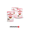 Royal Canin Pouch Kitten Jöle İçinde Yavru Kedi Konservesi 85gr x12