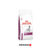 Royal Canin Veterinary Renal Köpek Maması 2 kg