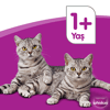 Whiskas Özel Karışık Paket 85gr  (56 adet)