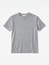 CII Nakışlı Basic Tshirt- Gri