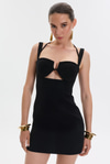 Obsession Mini Dress