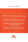 birer-fintech-olusumu-olarak-turkiyede-c6-c07.jpg
