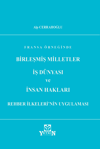 birlesmis-milletler-is-dunyasi-ve-insa-4e6-4d.png
