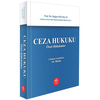 ceza-hukuku-ozel-hukumler-925fd-.jpg
