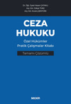 ceza-hukuku-ozel-hukumler-pratik-calis-4699-9.jpg