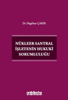 nukleer-santral-isletenin-hukuki-sorum-38-dd3.jpg
