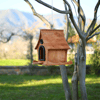 Ahşap Kuş Yuvası (Kuş Evi)