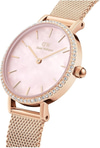Daniel Wellington DW00600663 Kadın Kol Saati