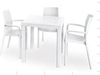 Efes Rattan Masa Takımı Beyaz (4 Sandalye + 1 Masa)