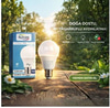 Elitled 9W Led Ampul Beyaz