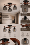 Lumexx Weston 3 Lü Ceviz Füme Camlı Plofonyer Avize