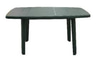 Masa 80*140Cm Oval Yeşil Dortayak Siesta-3187