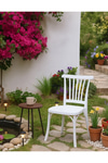 Modalife 4 Adet Alara Beyaz Mutfak Sandalyesi, Yemek, Bahçe, Kafe, Modern Sandalye