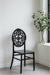 Modalife 4 Adet Sahra Mutfak Sandalyesi, Yemek, Bahçe, Kafe, Modern Sandalye