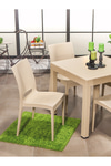 Modalife Rattan Home Bahçe Balkon Masa Takımı-cappucino
