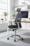 Ofisbazaar Dali Beyaz Fileli Yönetici Koltuğu | Ergonomik Başlıklı Ofis Koltuğu Siyah Fileli