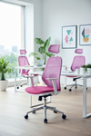 Ofisbazaar Dali Beyaz Fileli Yönetici Koltuğu | Ergonomik Başlıklı Ofis Koltuğu Pembe