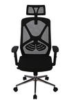 Ofisbazaar Dolphin Siyah Fileli Yönetici Koltuğu | Ergonomik Başlıklı Ofis Koltuğu Siyah Fileli