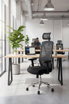 Ofisbazaar Dolphin Siyah Fileli Yönetici Koltuğu | Ergonomik Başlıklı Ofis Koltuğu Siyah Fileli