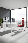 Ofisbazaar Dolphin Siyah Fileli Yönetici Koltuğu | Ergonomik Başlıklı Ofis Koltuğu Kırmızı