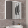 Priya Cok Amacli Aynali Banyo Dolabi Beyaz 720X170X715 Mm