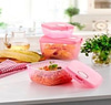 Prizma Saklama Kabi 3 Parca Tm906