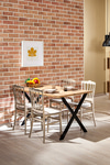 Sandalie 4 Adet Miray Cappucino Sandalye / Balkon-bahçe-mutfak