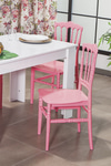 Sandalie 4 Adet Miray Pembe Sandalye / Balkon-Bahçe-Mutfak