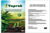 Yaprak Yesil Yaprakli Bitkiler Torf 5 Lt