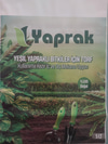 YESIL YAPRAKLI  BITKILER TORFU 5 LT 