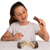 ational-geographic-dino-kazi-kiti-rtng-50-d4e.jpg