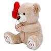 balon-tutan-pelus-ayi-40-cm-pelus-oyun-cd5-da.jpg