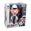 canem-oyuncak-kutulu-pilli-robot-605-3-c3a-4e.jpg