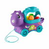 Fisher Price Sesli ve Işıklı Eğlenceli Dinozor HNR55-Eğitici Bebek Oyuncakları