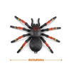 giochi-robo-alive-tarantula-7170-rbv08--8ffb-.png