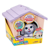 giochi-yavru-kopegim-ve-evi-surpriz-pa-95bb3e.jpg