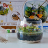 harry-potter-hagridin-kulubesi-81141-t-a652-4.jpg