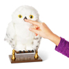 harry-potter-interaktif-buyuleyici-hed--4288-.jpg