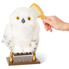 harry-potter-interaktif-buyuleyici-hed--eb161.jpg