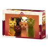 heidi-oyuncak-art-puzzle-kediler-takim--42b7-.jpg