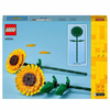 lego-iconic-aycicegi-40524-lego-oyunca--c923-.jpg