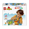 lego-kasabasi-arilarin-ve-ari-kovanlar-0b433-.jpg