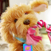 mff-sevimli-labrador-moji-turkce-myj00-1f-b0d.jpg