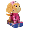 paw-patrol-deluxe-air-rescue-pilot-sky-a22-a6.jpg
