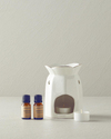 Aloe Vera – Ylang Ylang 5'li Aromaterapi Set